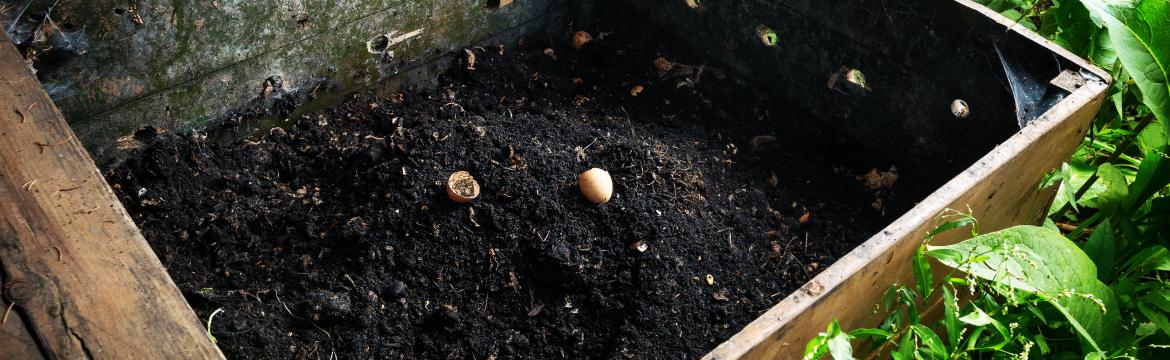Zahradničení s kompostem: Jak kompost pomáhá rostlinám a půdě?