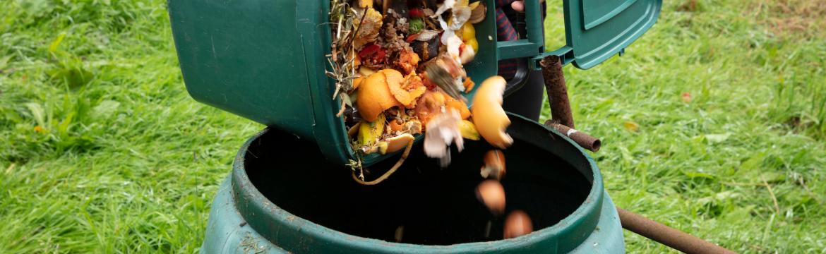 Jak si doma vyrobit vlastní kompost: Kroky, které vás k němu dovedou