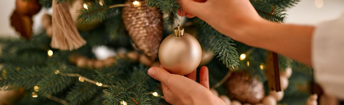 Vánoční stromeček – jaký vybrat, kam ho letos umístit a co s ním po Vánocích?