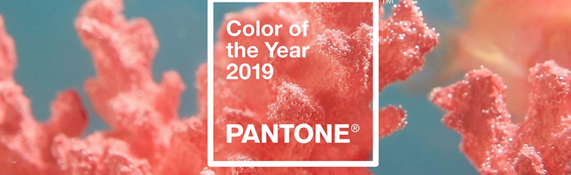 Barvou roku 2019 je podle institutu Pantone korálová