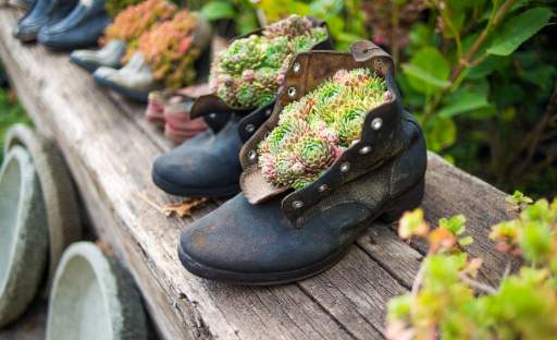 Nový život pro staré holínky v originální bota/nické zahradě