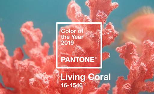 Barvou roku 2019 je podle institutu Pantone korálová