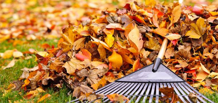 Spadané listí – podzimní postrach zahrádkářů, marný boj nebo relax a zábava?