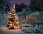 Venkovní vánoční osvětlení které rozzáří nejen váš domov