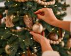 Vánoční stromeček – jaký vybrat, kam ho letos umístit a co s ním po Vánocích?