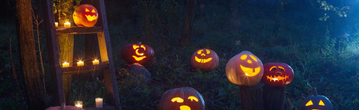 Halloween – jak si decentně a vkusně vyzdobit zahradu a dům v duchu tohoto svátku?