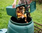 Jak si doma vyrobit vlastní kompost: Kroky, které vás k němu dovedou
